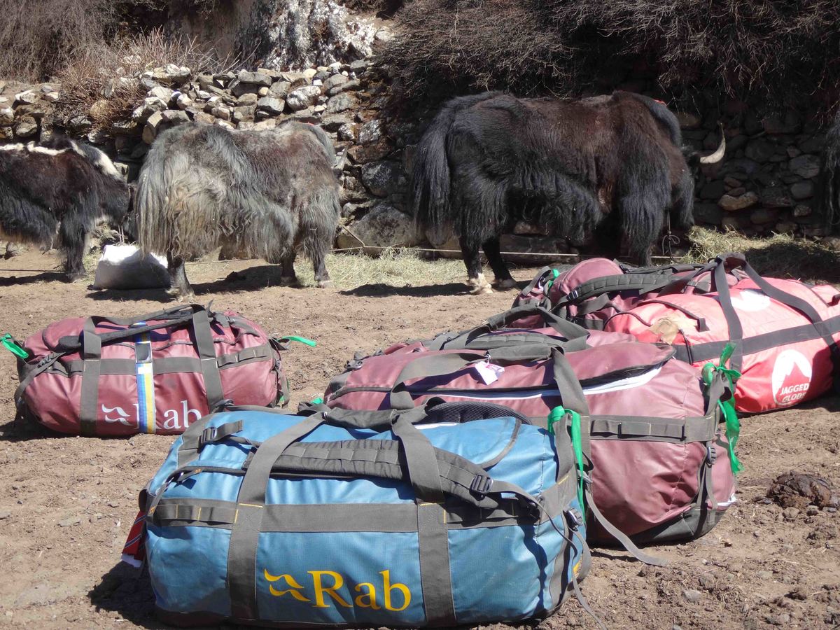 29A._Bags_and_yaks_Dingboche.jpg