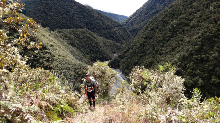 Richard reflects on Jungle Ultra before episode 2 tomorrow.